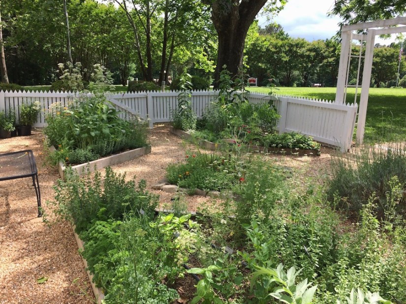 Sycamore herb garden1